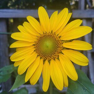 Meet your Posher, Tabatha